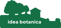 idea botanica