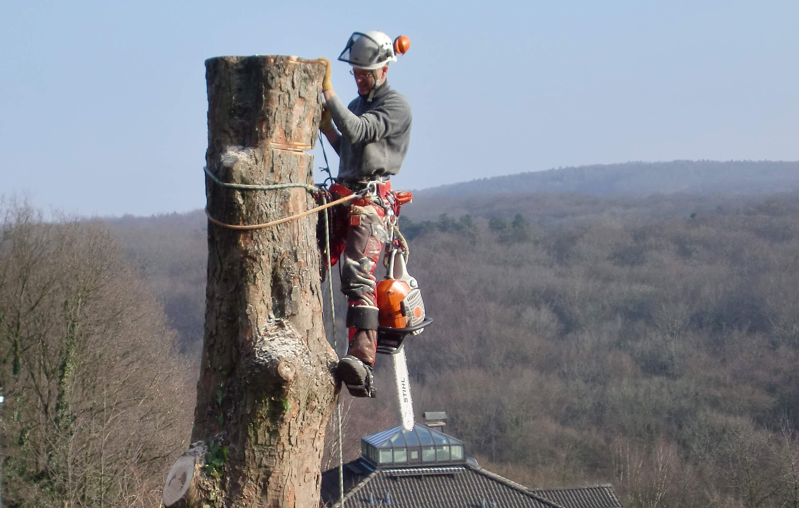 baumfaellung-witten-seilklettertechnik-skt-spezialfaellung