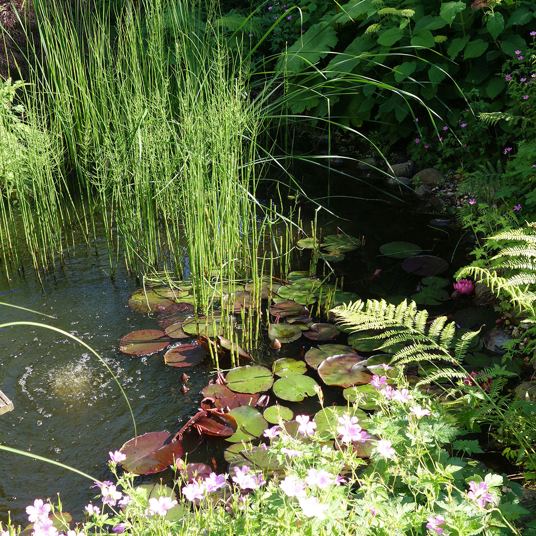 gartengestaltung-gartenbepflanzung-gartenkonzept-landschaftsgaertner-bochum