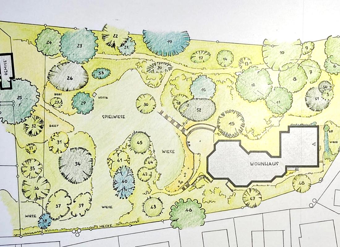 idea-botanica-baumfaellung-verkehssicherungspflicht-witten-leistung