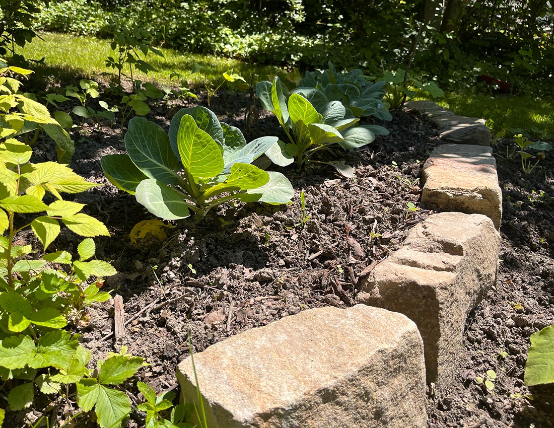 natursteine-natursteinmauer-natursteinplatten-randsteine-witten