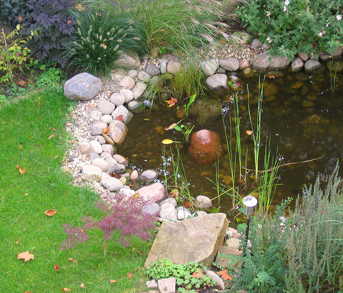 naturteich-baeche-gartenteich-witten-wasserpflanzen