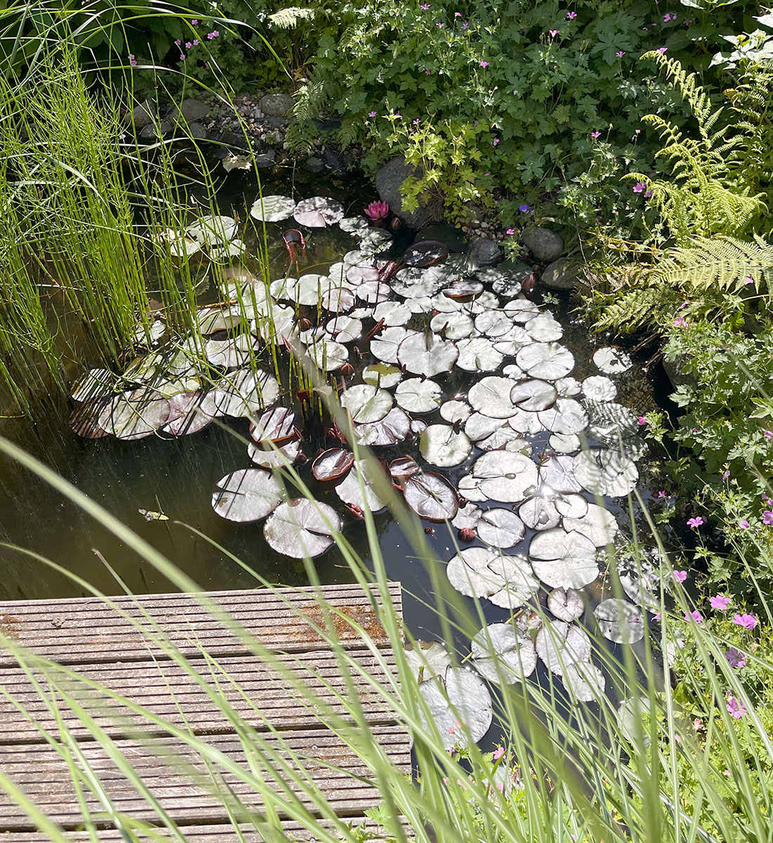 naturteich-witten-bewaesserungssysteme-auffangbecken